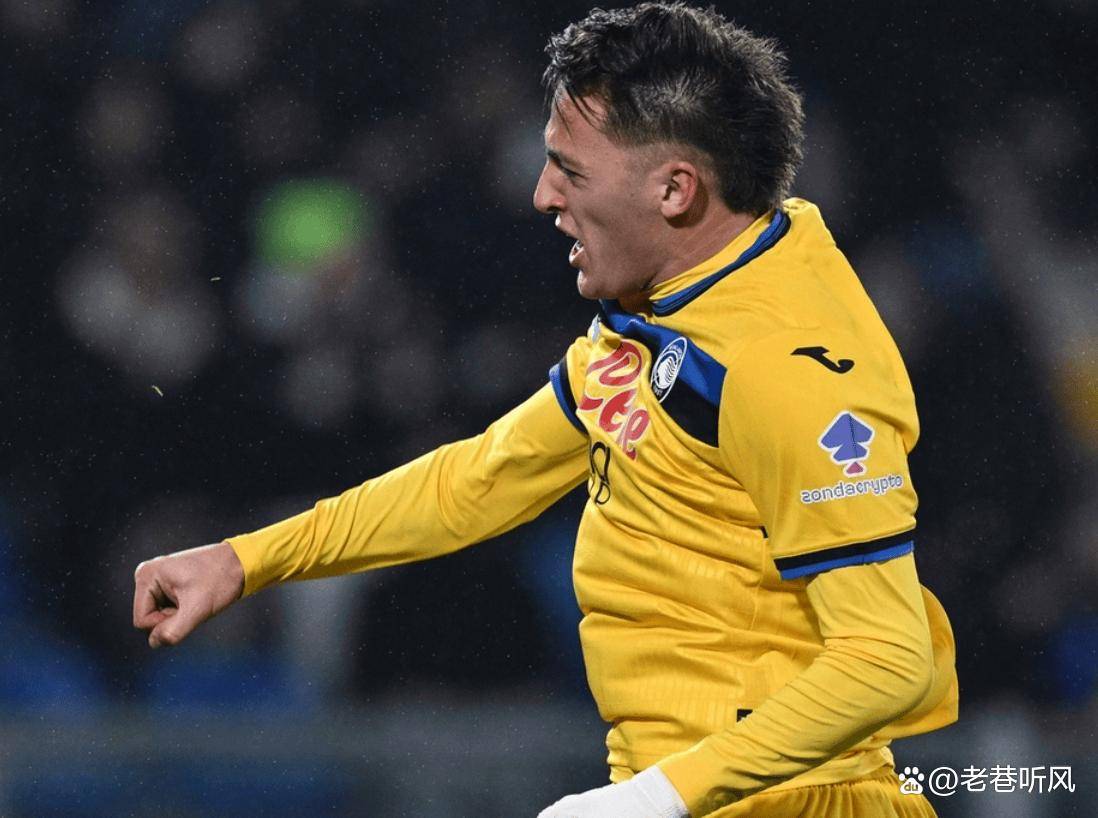 术的展示 术的展示