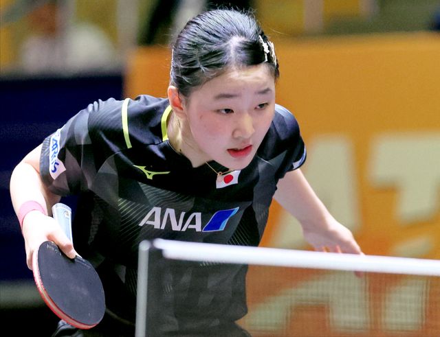 正是明星效 正是明星效